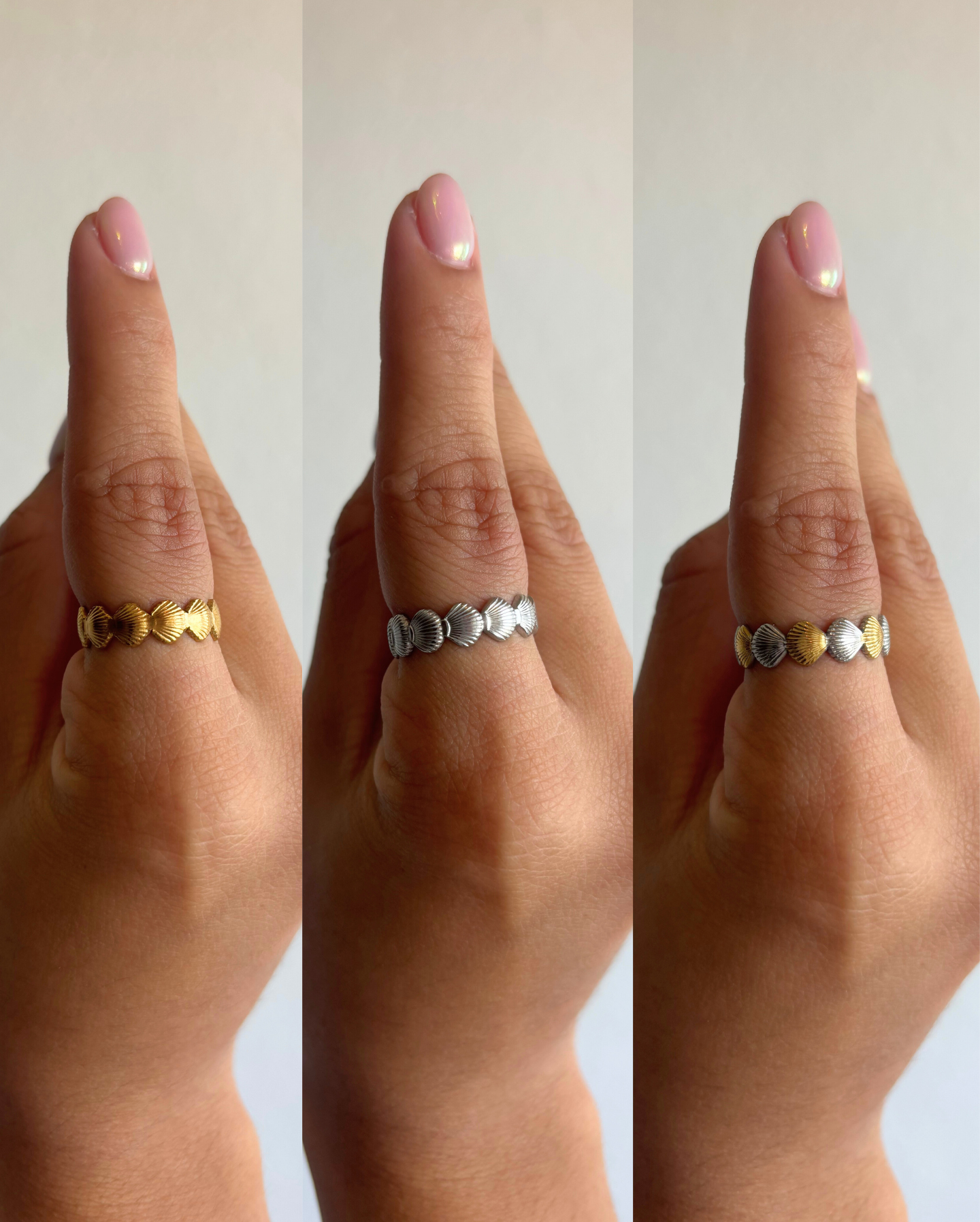 Shell Ring SS