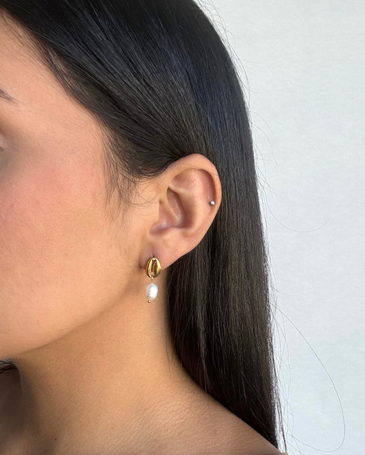 Coral Stud Earring SS
