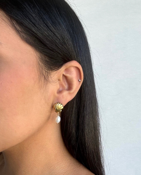 Shell Stud Earring SS