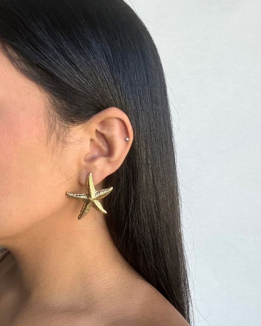 Starfish Stud Earring SS