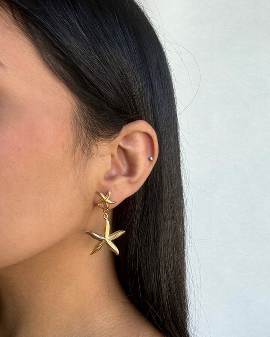 Lucero Earring SS